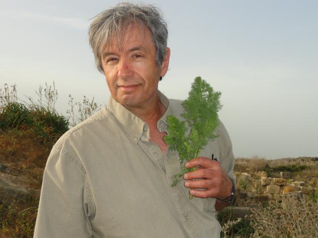 Michel Bédard