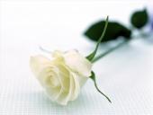 Normand Poiré