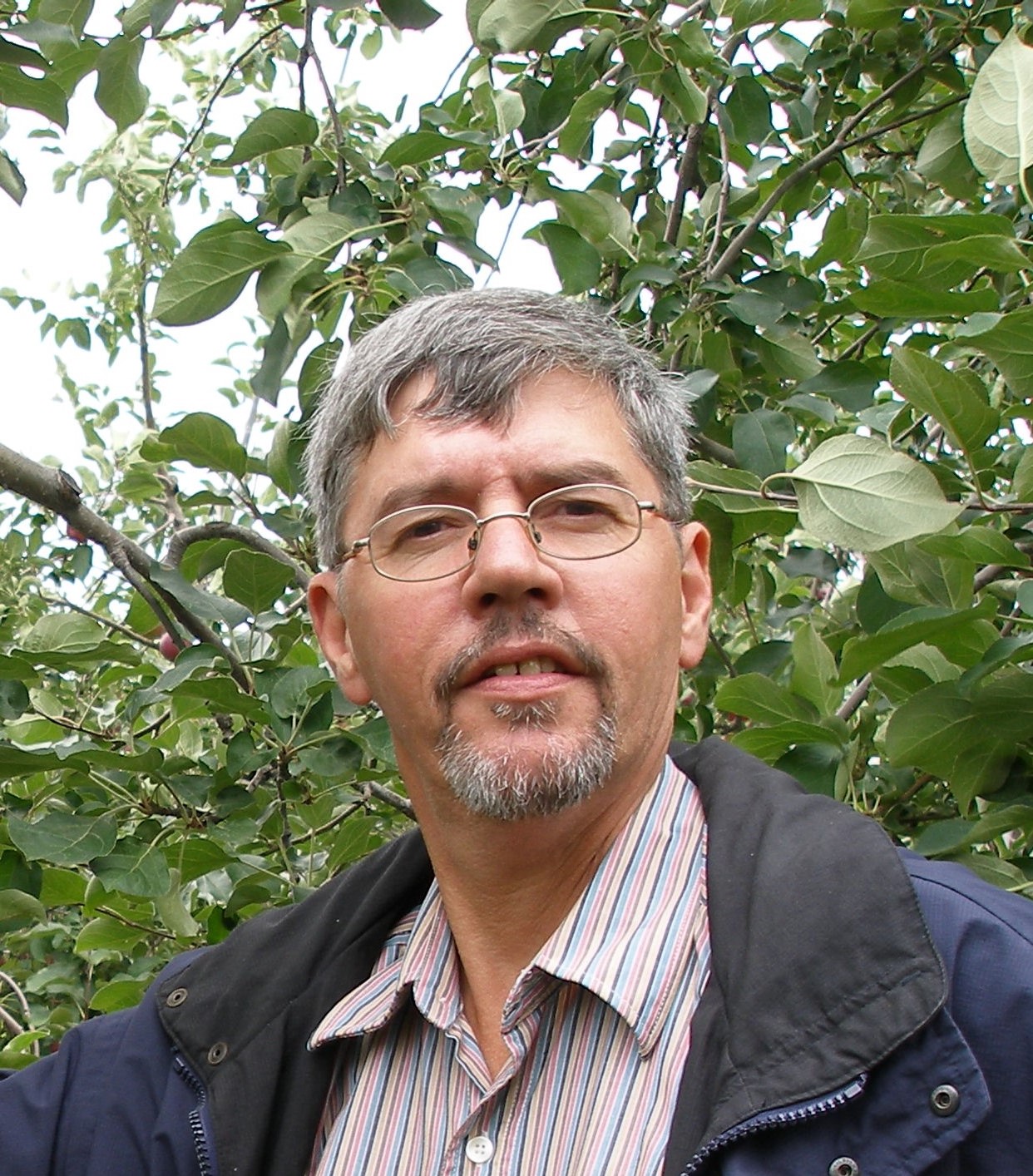 Yves Michaud