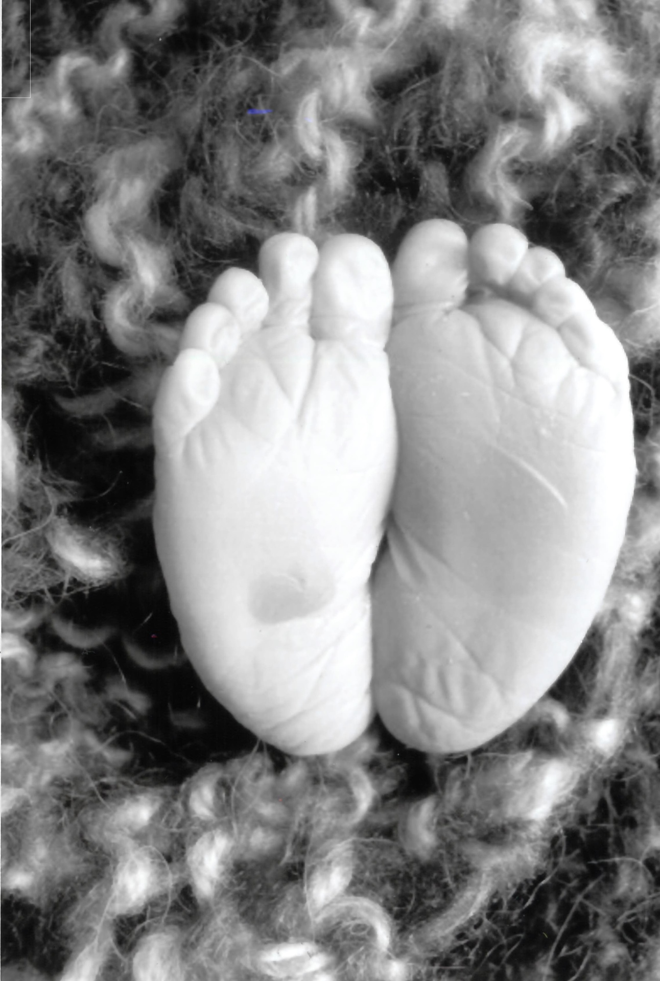 Lorenz-Thomas GUSTAVE