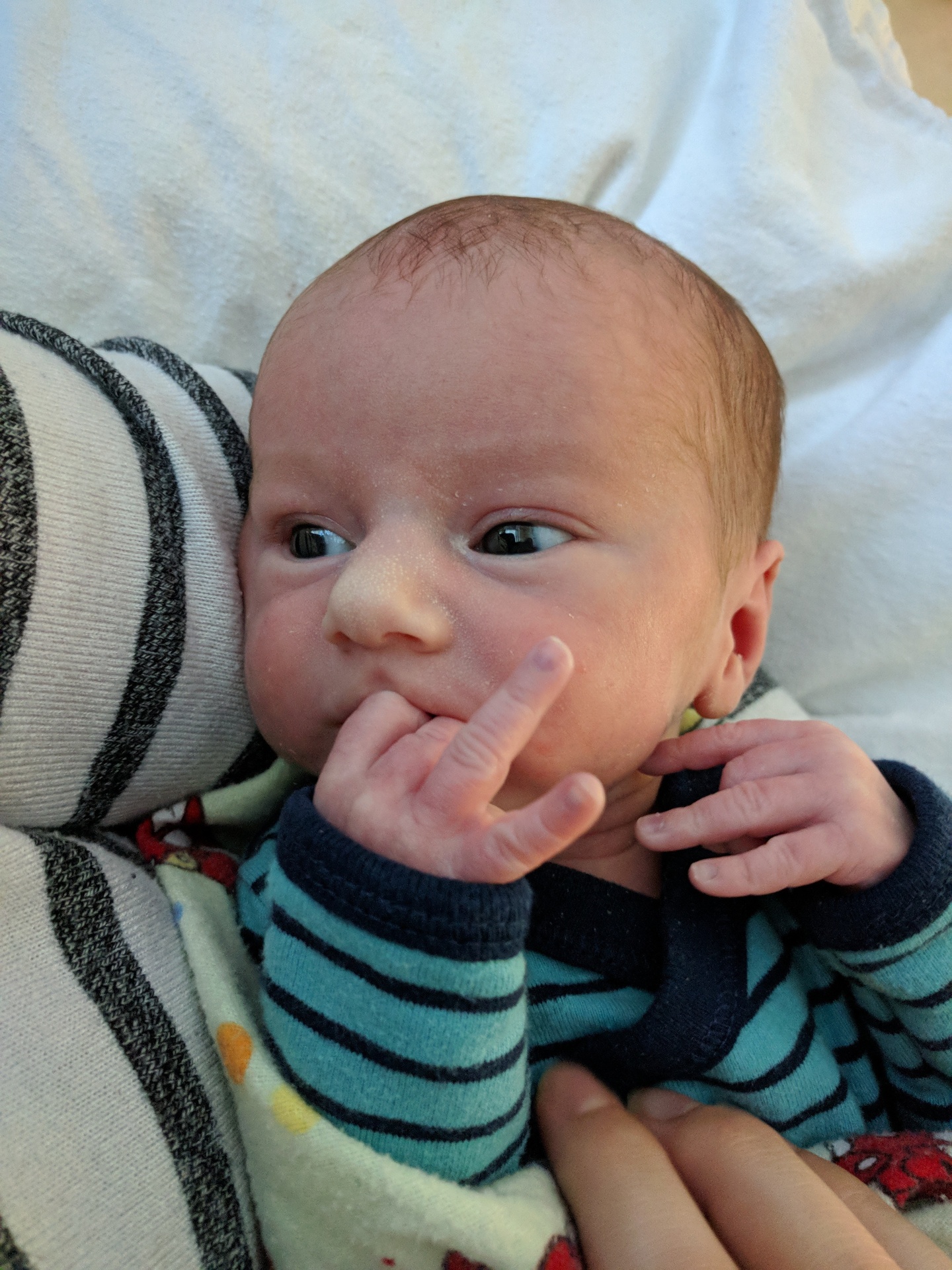 Louis-Philippe QUINTAL