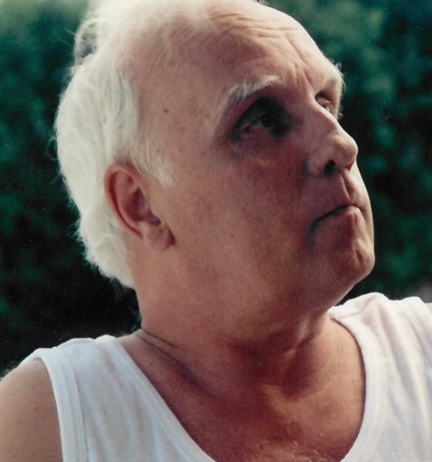 Paul-André ALLARD