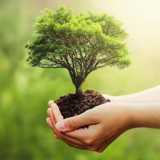 Héritage Arbre
