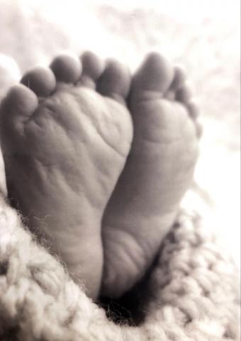 Charlie Gosselin Mathieu