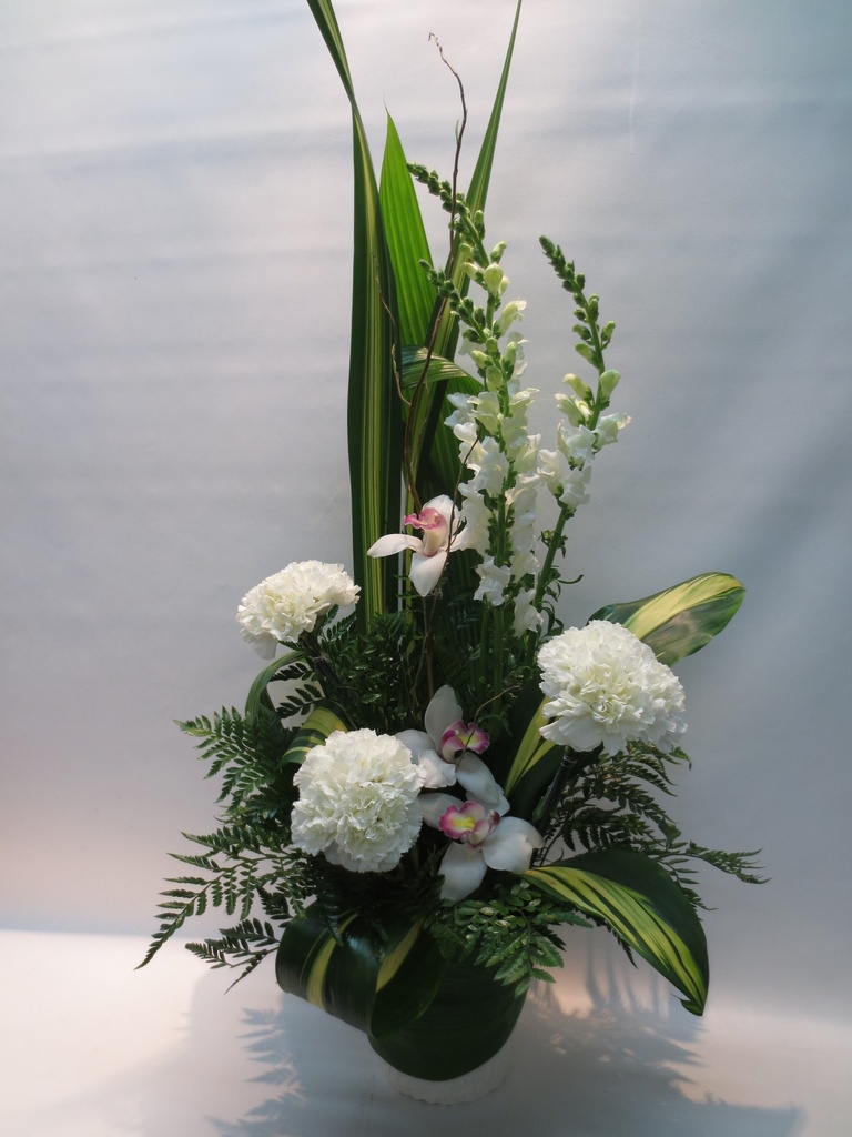 Le cymbidium