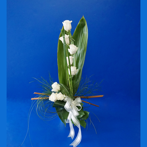 Huit roses blanches