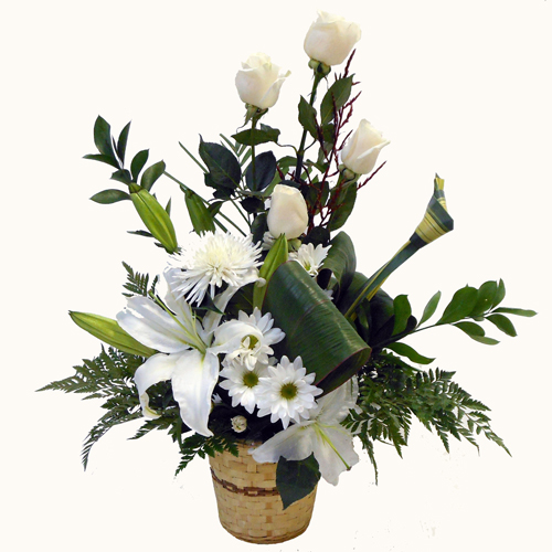 Blanc en panier de bois