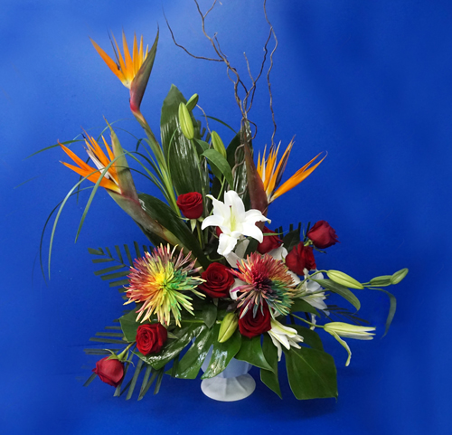 Oiseaux du paradis et chrysantèmes